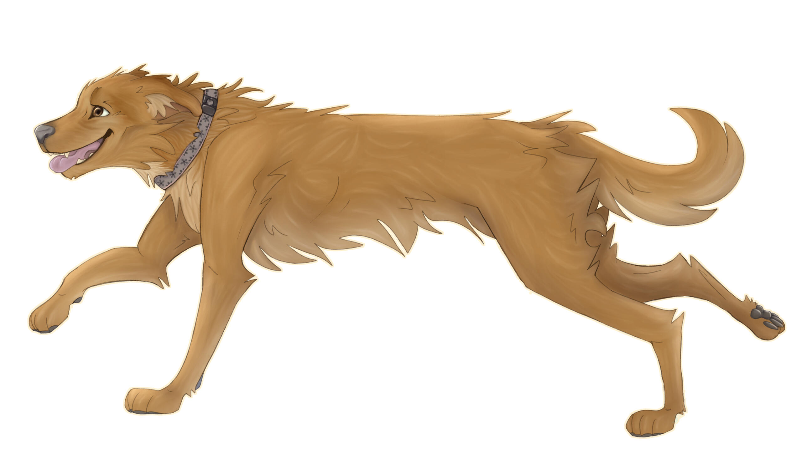 $40 (Pet Portrait + Semi realism + No background)