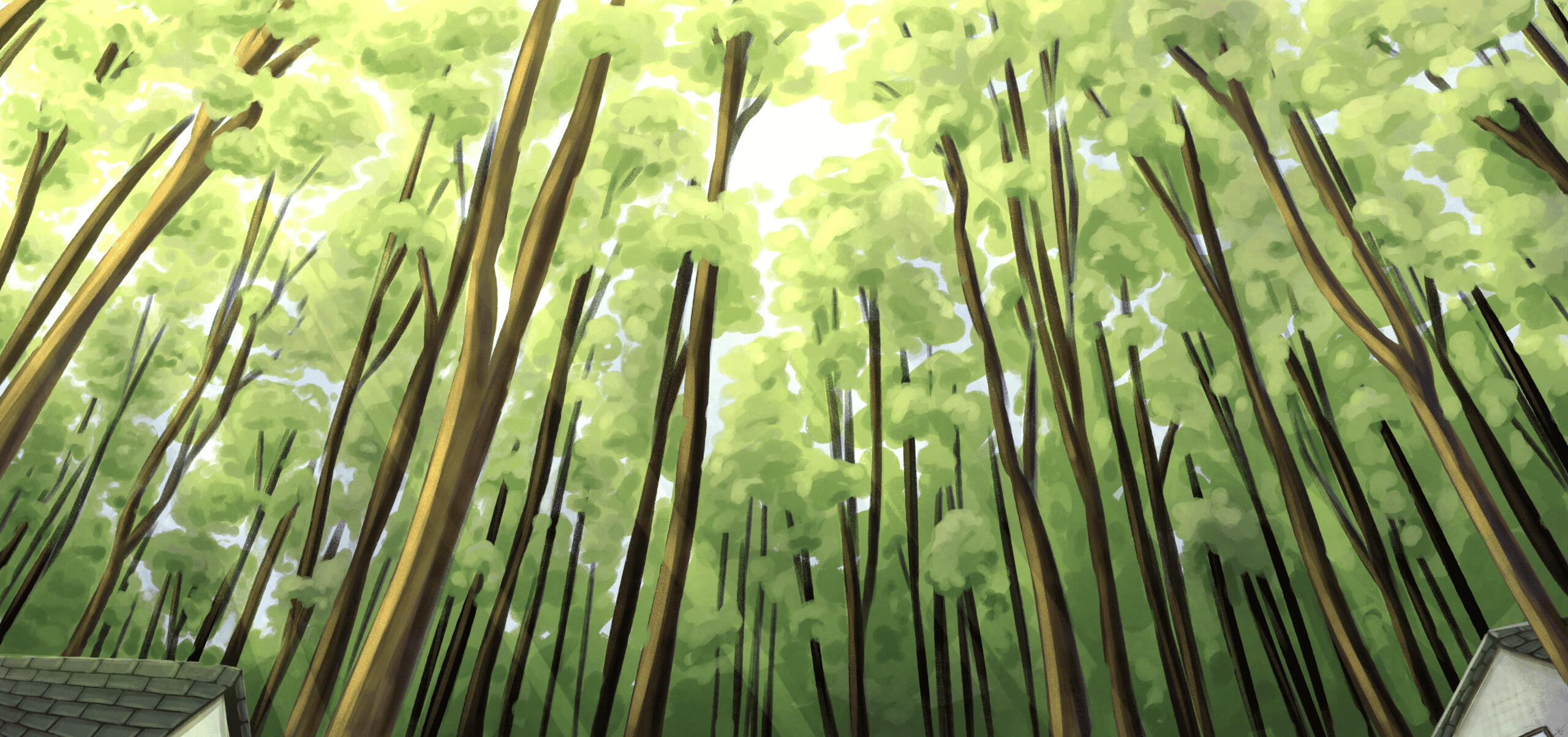 $45 (Large background)